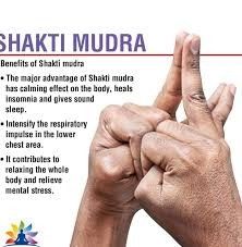 Shakti Mudra, Hand Reflexology, Reflexology Chart