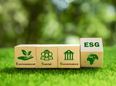 three blocks with the words environmental, environment and government written on them in green grass