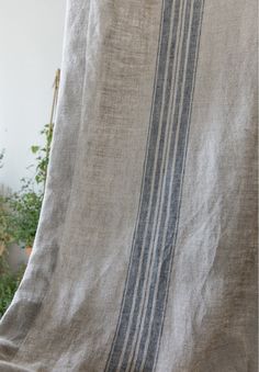 an image of a blanket that is hanging on the side of a wall in front of a potted plant