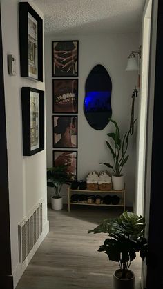 a hallway with pictures and plants on the wall