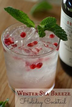 a glass filled with ice and garnish next to a bottle