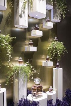 an assortment of vases and plants on display in front of a wall with hanging planters