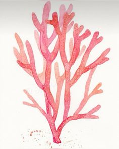 a watercolor painting of pink corals on white paper