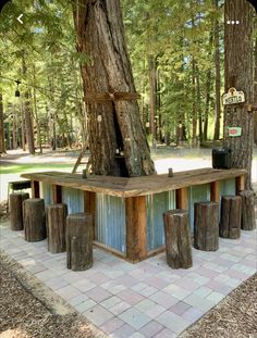 a wooden bench sitting under a tree in the middle of a forest