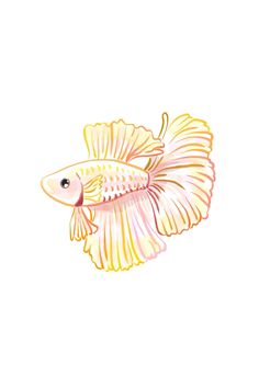 a drawing of a goldfish on a white background with watercolors and pastel pencils