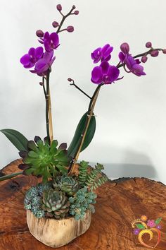 purple orchids and succulent plants in a wooden bowl