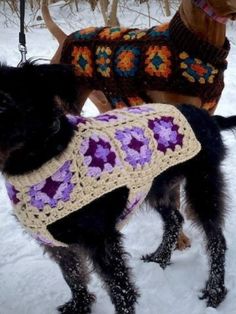 two dogs wearing sweaters in the snow