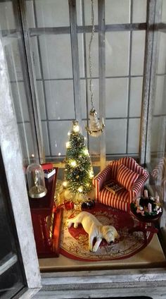 a dog sleeping on a rug next to a christmas tree in a window sill