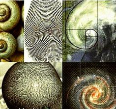 four pictures with different types of spirals in them and the words, what do you think?