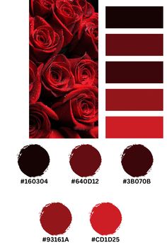 the color scheme for red roses