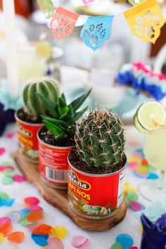 three cactus plants in small pots on a table with confetti and paper streamers