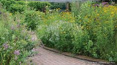 a garden with lots of flowers and plants growing on the side of it, next to a brick walkway