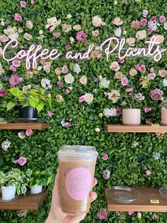 a person holding up a cup of coffee in front of a green wall with pink flowers