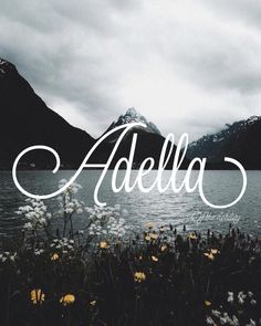 the word adella written in white on top of a lake surrounded by wildflowers