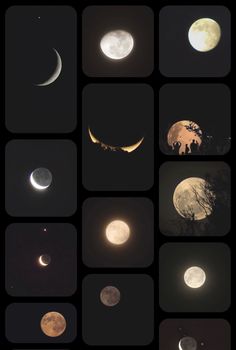 nine phases of the moon in different stages