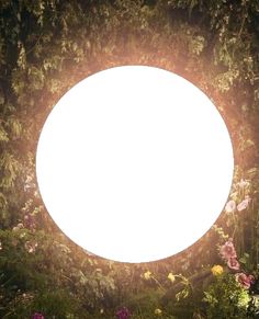 a white circle surrounded by flowers and greenery in the center is an illuminated light