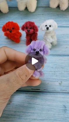 a person is holding small stuffed animals in their hands and they look like poodles