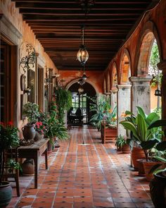 a long hallway with potted plants on either side and an arched doorway leading to another room