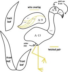 a diagram showing the parts of a bird