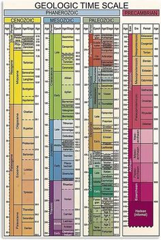 an image of a poster with the names of different types of time zones in it