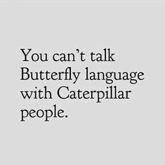 a quote that says you can't talk butterfly language with caterpillar people