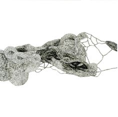 an image of a drawing of a fish net