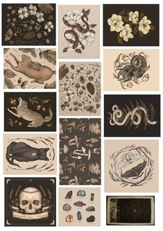 several different pictures with animals and plants on them, all in black and beige colors