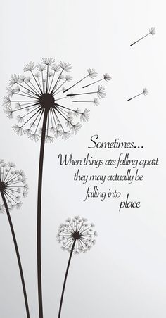 Women Poems, Dandelion Quotes, Falling Into Place, Understanding Quotes, Dandelion Tattoo, Engraving Ideas, A Dandelion, Pola Sulam, Creativity Quotes