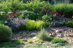 a garden with rocks and plants in the foreground, surrounded by shrubbery on either side