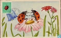 two ladybugs on top of a pink flower next to a blue bird and butterfly