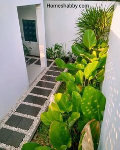 a white house with green plants in the front yard