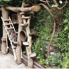 a cat sitting on top of a wooden ladder next to a tree stump structure in a garden