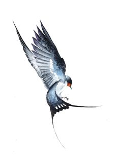 a bird flying through the air with its wings spread