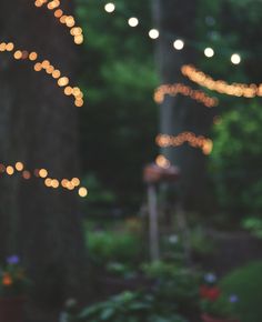 the lights are hanging from the trees in the yard