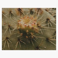 a jigsaw puzzle with a cactus in the middle and lots of tiny needles sticking out of it