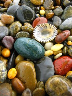 rocks and pebbles are arranged together on the ground with a shell embedded in one of them