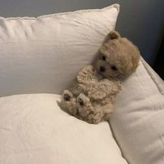 two teddy bears are sitting on a white pillow