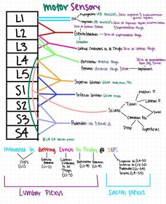 a whiteboard with different types of lines and numbers on it, as well as the names