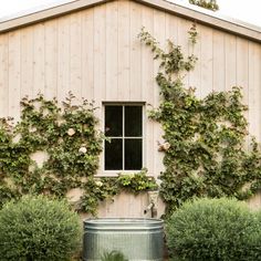 a building with vines growing on the side of it and a metal tub in front