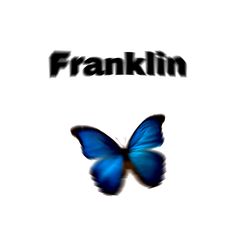 a blue butterfly with the word franklin on it's back and an image of a white background