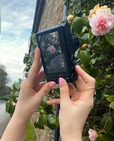 a person holding up a cell phone to take a picture with flowers in the background