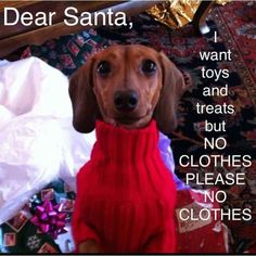 a dachshund dog wearing a red sweater and saying dear santa, i want toys and treats but no clothes please no clutters