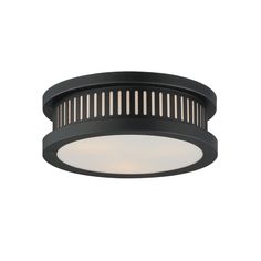 a black ceiling light with white trim