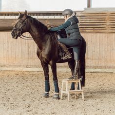 a woman riding on the back of a brown horse in an arena with wooden walls