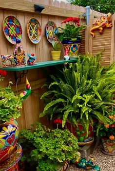 many potted plants are on the shelves in this garden area, along with other decorative items