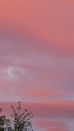 an airplane is flying in the sky with pink and blue clouds behind it at sunset