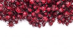 some red flowers that are laying on top of each other in front of a white background