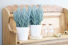 two potted plants sitting on top of a wooden shelf