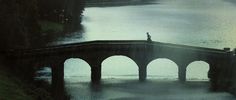 a man standing on top of a bridge over water