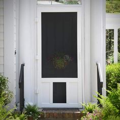 a potted plant sitting on the side of a white door with black shutters